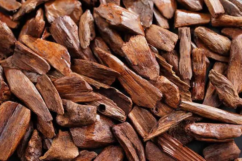 ДРЕВЕСНЫЙ fragrance note - Shop perfumes with ДРЕВЕСНЫЙ notes at Narffum