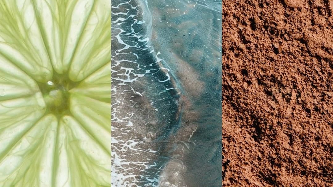 Summer 2026 Perfume Hits: The Fragrances Defining the Season - Section 1 Summer 2026 Perfume Hits: The Fragrances Defining the Season - Section 1 image - NARFFUM blog