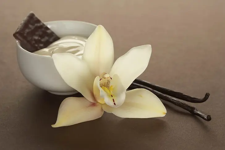 vanilla